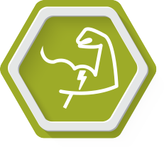 Muscle Strength Exercise Training for the Elderly.